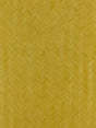 Scalamandre Glissando Lime Wallpaper