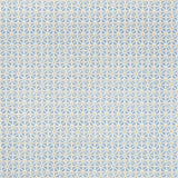 Lee Jofa SYLVAN PRINT SKY Fabric