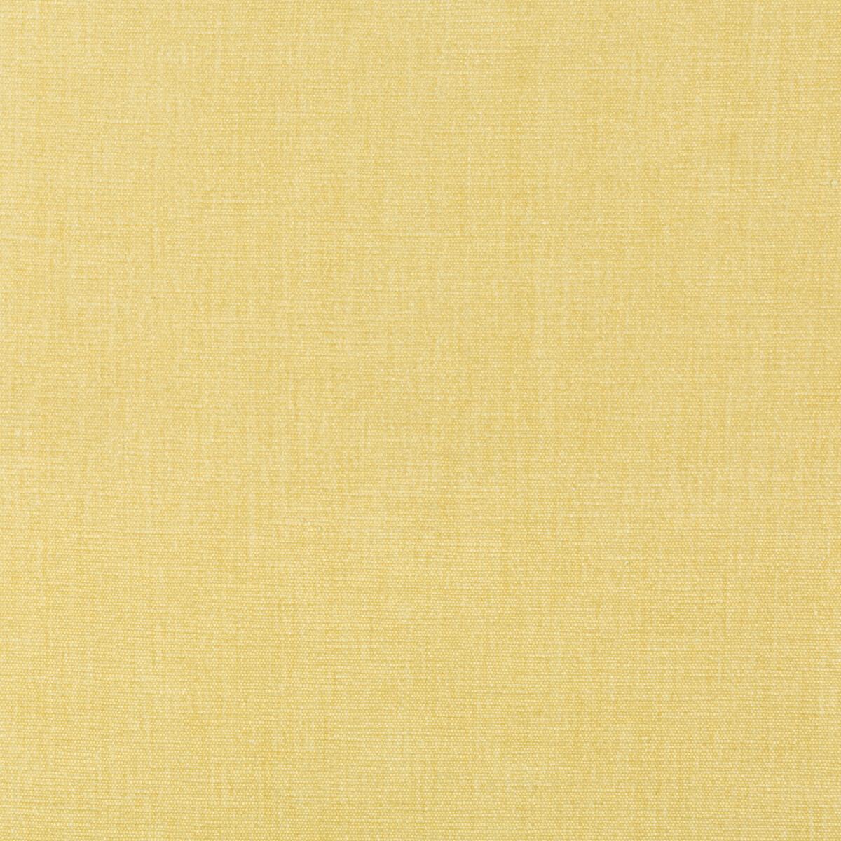 Kravet 36076 1116 Fabric