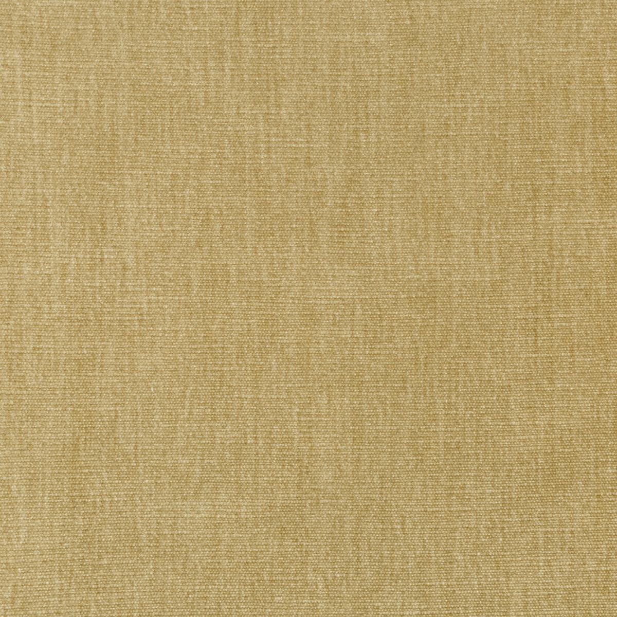 Kravet 36076 16 Fabric