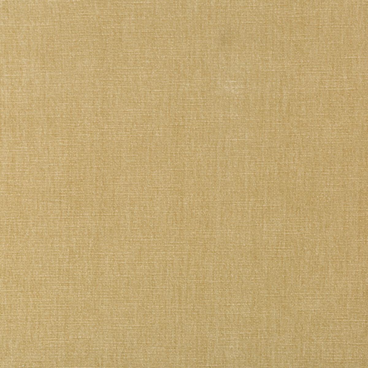 Kravet 36076 161 Fabric