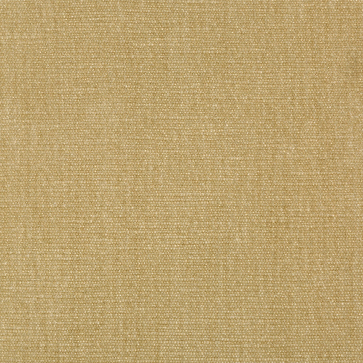 Kravet SMART 36076 161 Upholstery Fabric