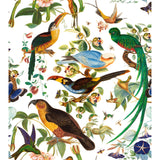 Gaston Y Daniela OAXACA BLANCO Fabric