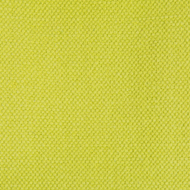Gaston Y Daniela LIMA APPLE GREEN Upholstery Fabric