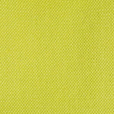 Gaston Y Daniela LIMA APPLE GREEN Upholstery Fabric