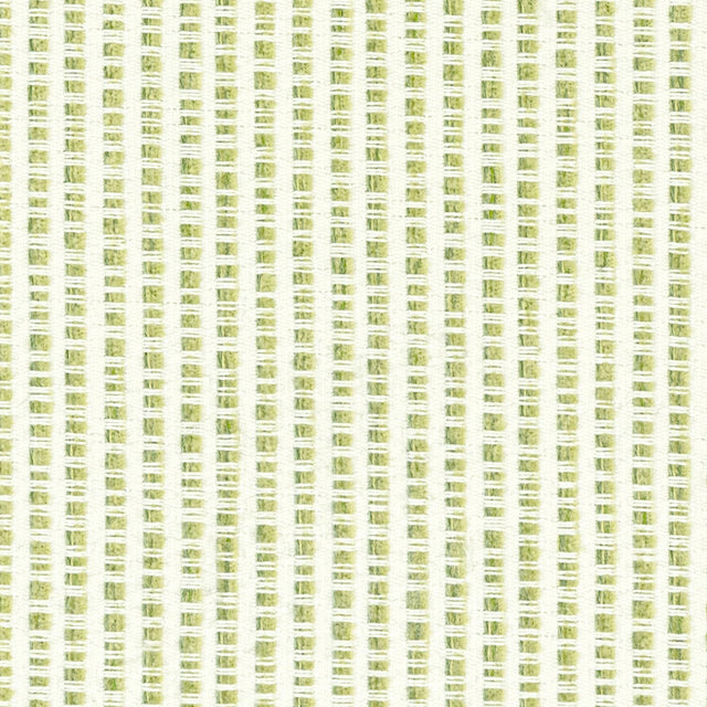 Stout UPBEAT GRASS Fabric