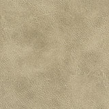 Stout RADNOR TOFFEE Fabric