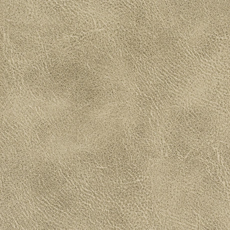 Stout RADNOR TOFFEE Fabric