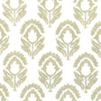 Stout DARLINGTON CAMEL Fabric