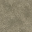 Stout RADNOR FLINT Fabric