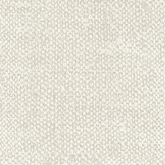 Stout DWYER OATMEAL Fabric
