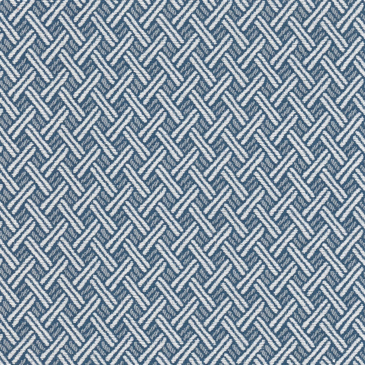 Stout ANNOUNCE BLUE/WHITE Fabric