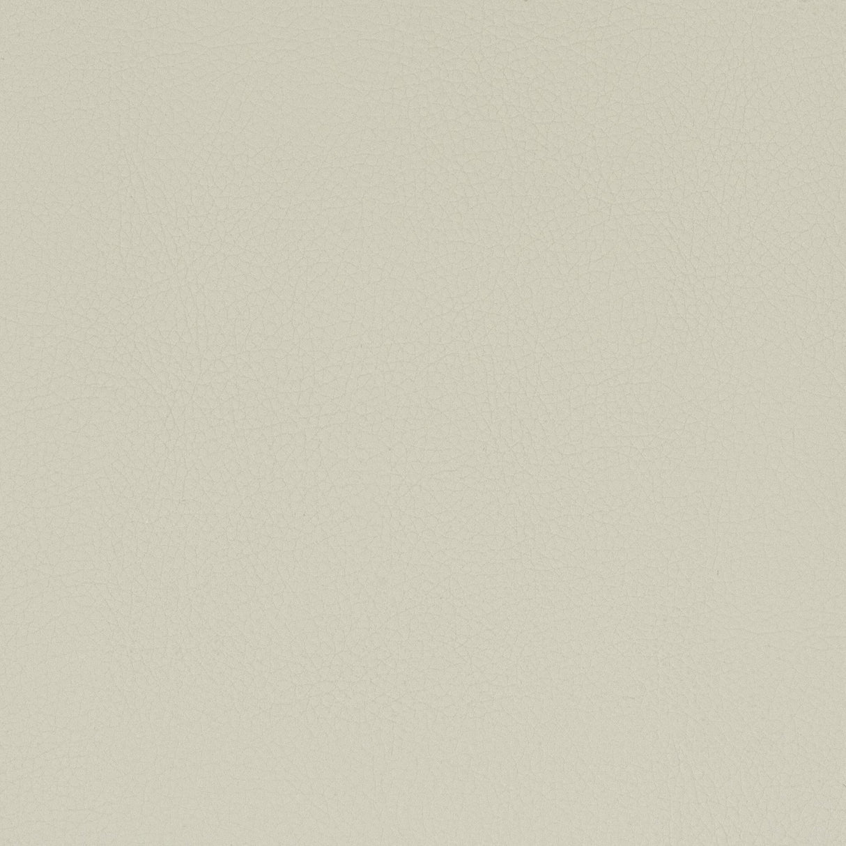 Stout CLASSIC CAMEL Fabric