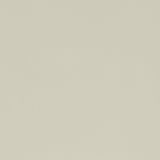 Stout CLASSIC CAMEL Fabric