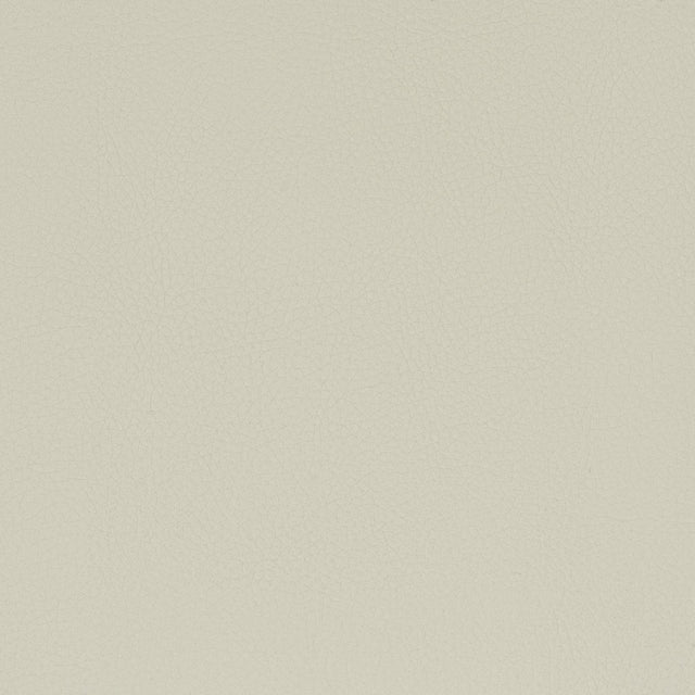 Stout CLASSIC CAMEL Fabric