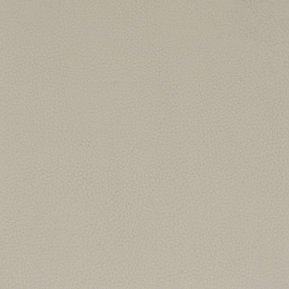 Stout CLASSIC PUTTY Fabric