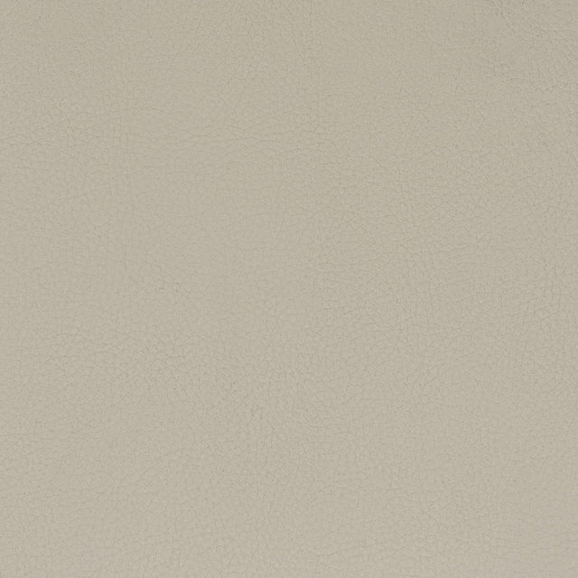 Stout CLASSIC PUTTY Fabric