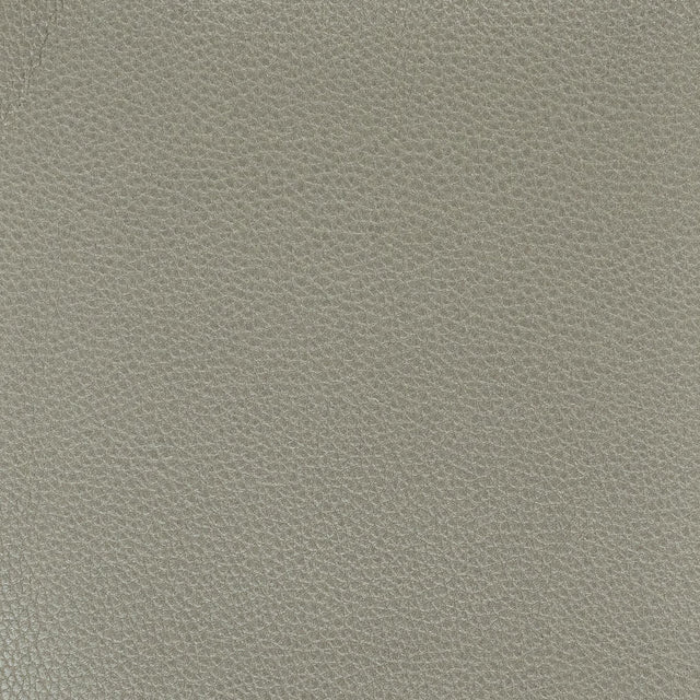 Stout PITCHER GRAPHITE Fabric