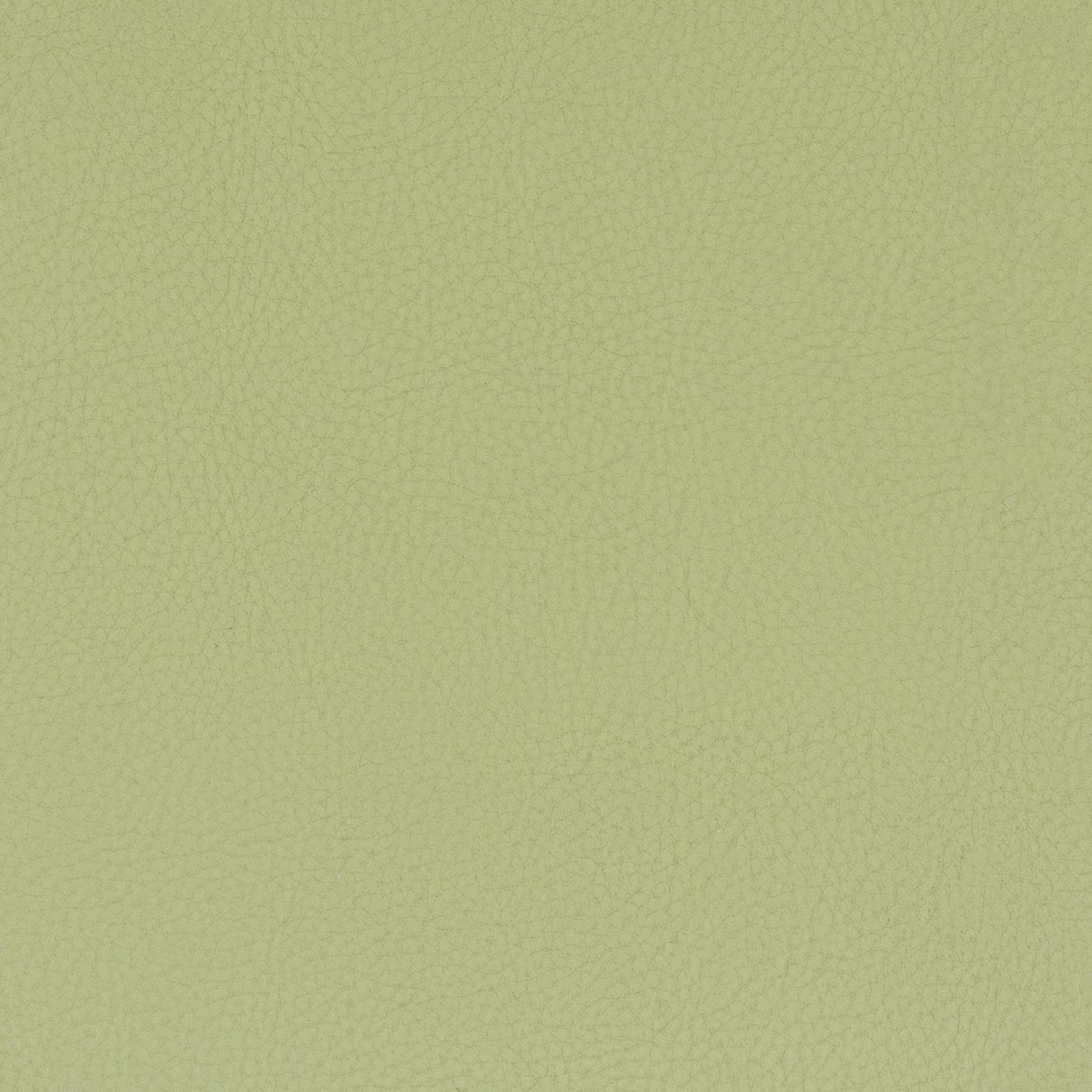 Stout CLASSIC PISTACHIO Fabric