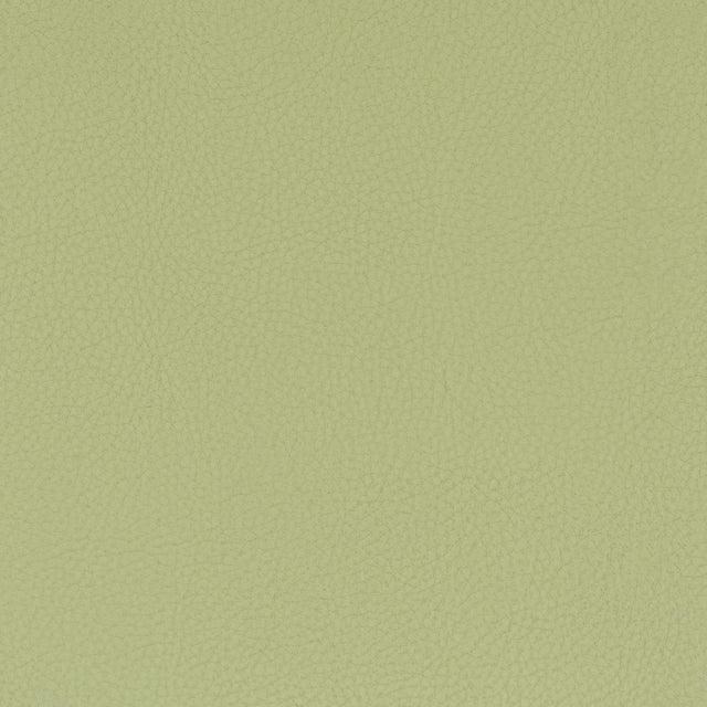 Stout CLASSIC PISTACHIO Fabric