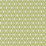 Stout BOLDER APPLE Fabric