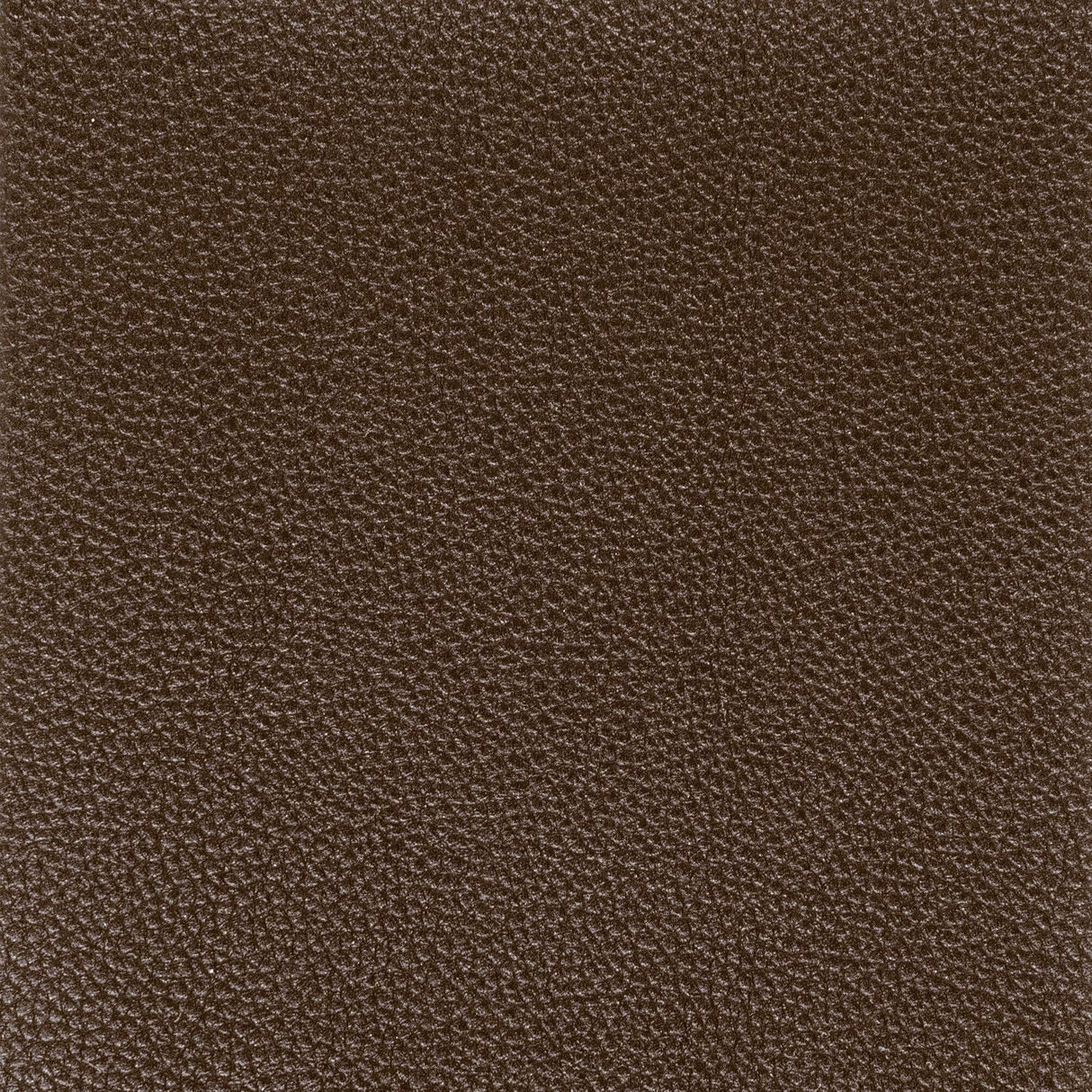 Stout PITCHER ESPRESSO Fabric