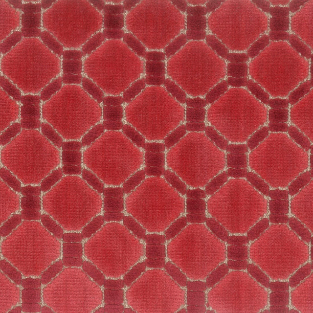 Stout PRONTO WATERMELON Fabric