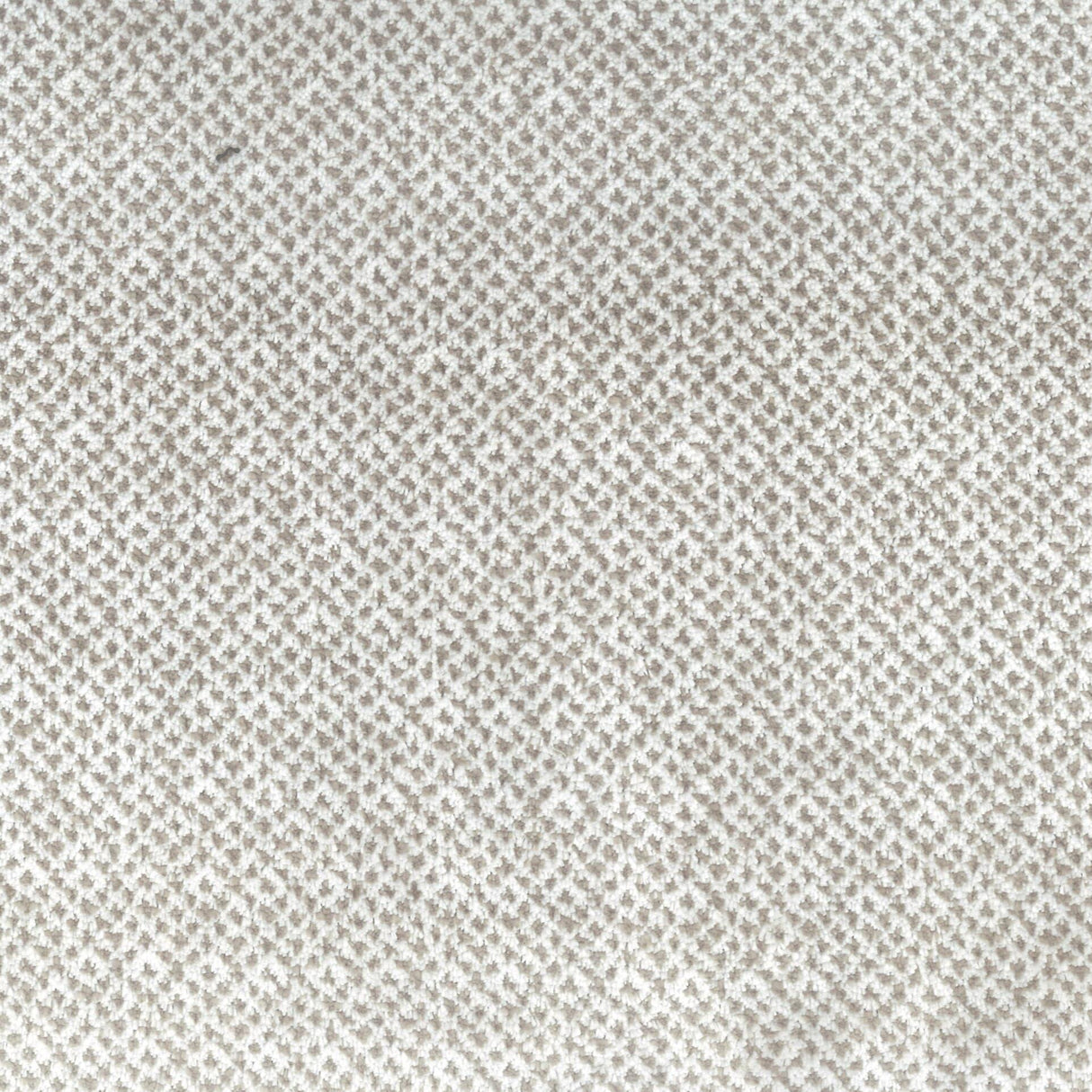 Stout TEATIME DOVE Fabric