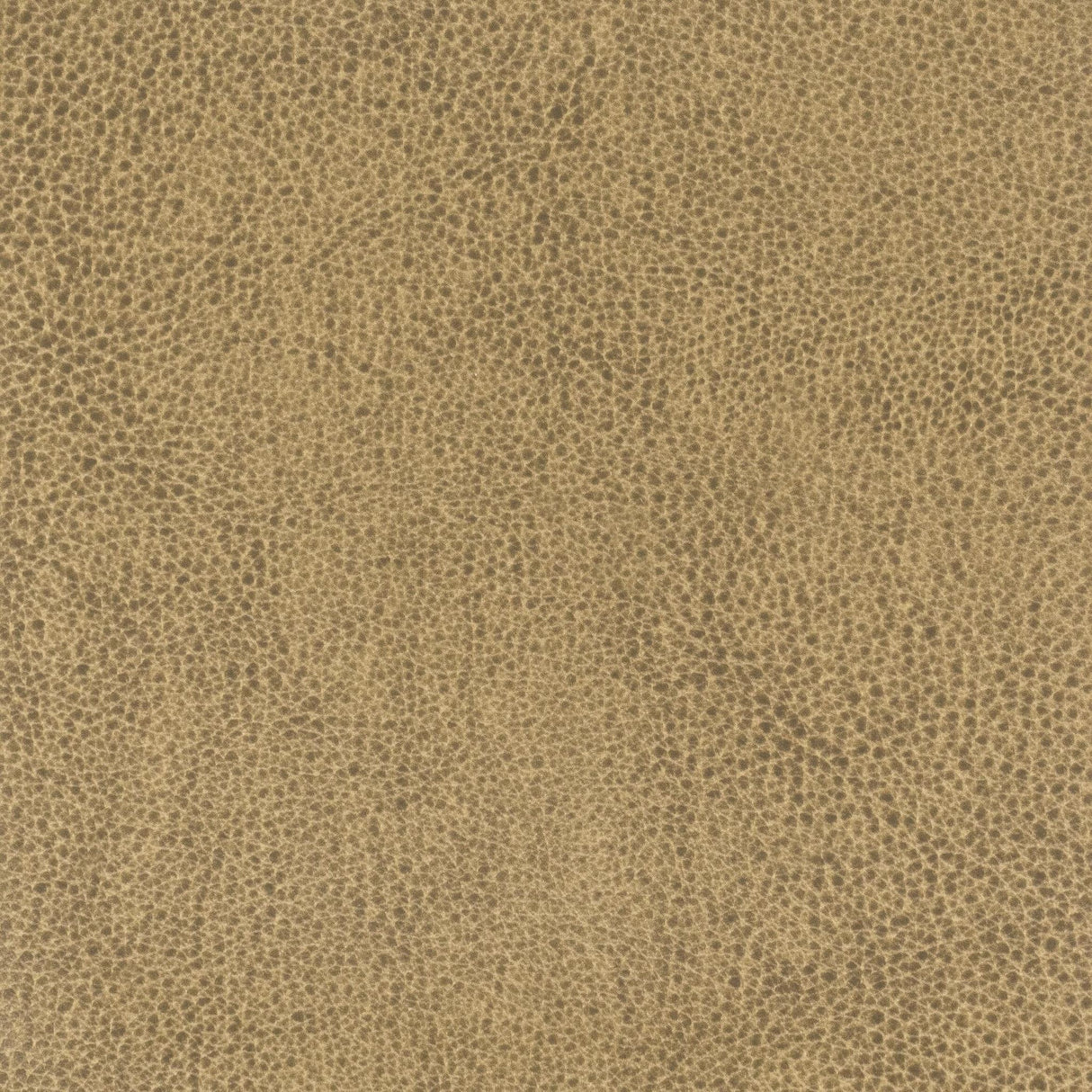 Stout LANISTER NUT Fabric