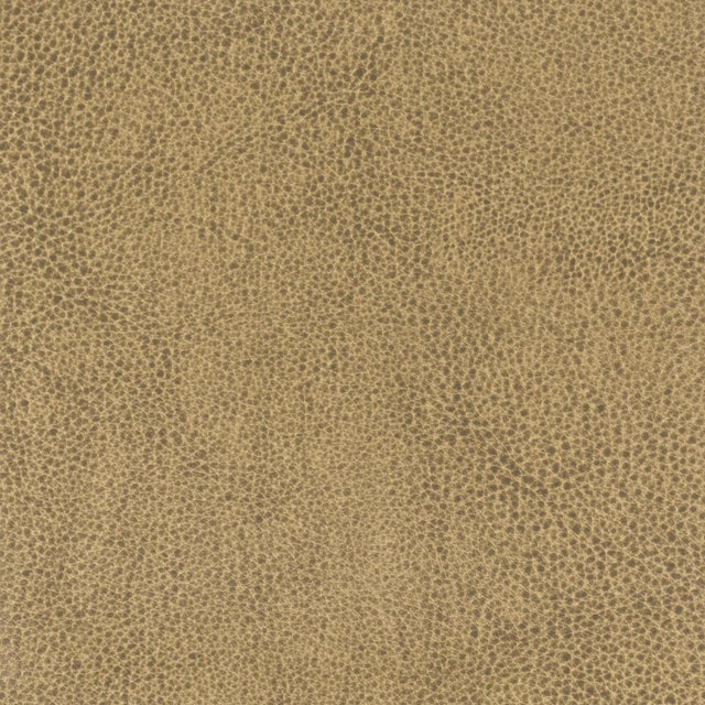 Stout LANISTER NUT Fabric