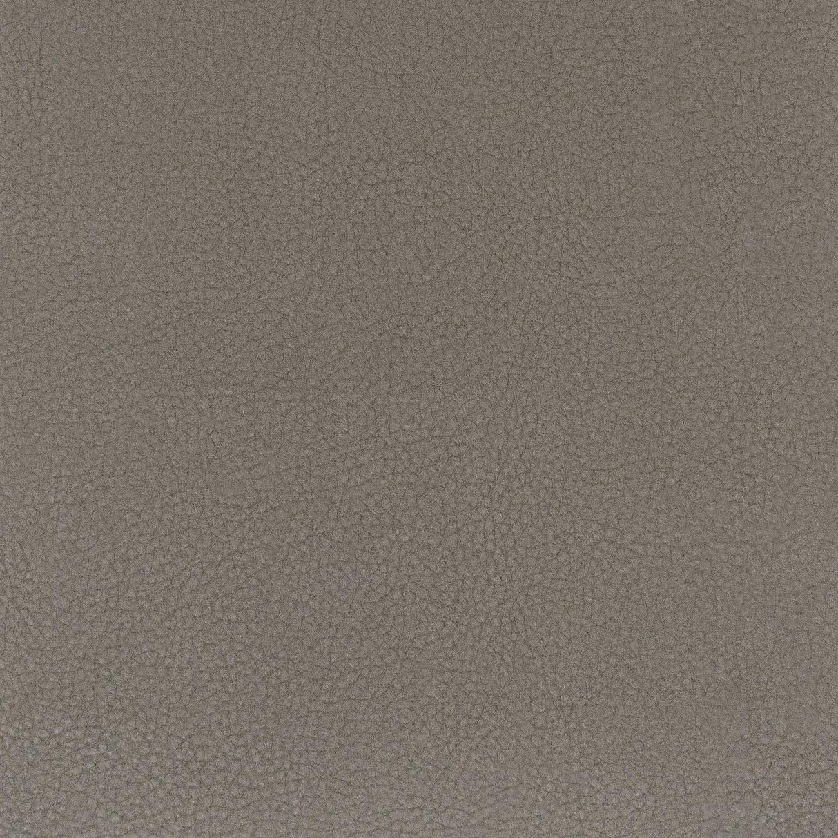 Stout CLASSIC COCOA Fabric