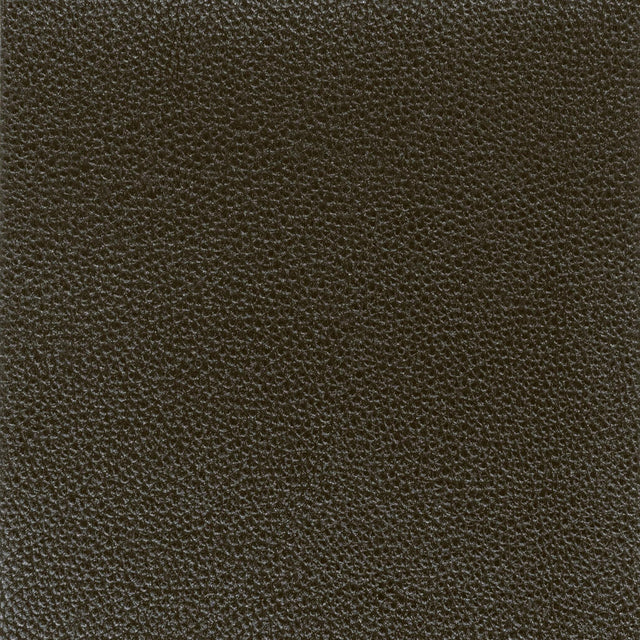 Stout PITCHER ONYX Fabric