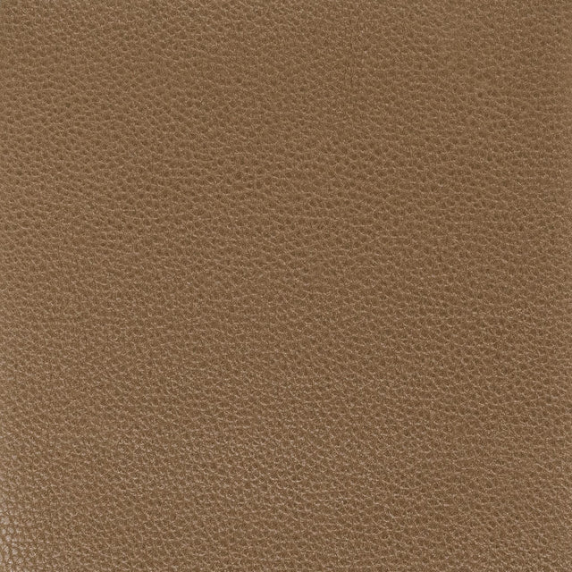 Stout PITCHER BARK Fabric
