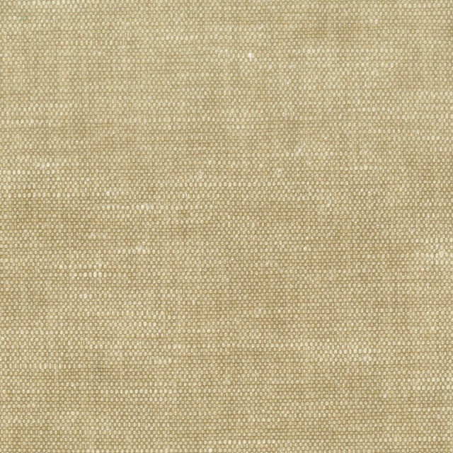 Stout ORWIN TOAST Fabric