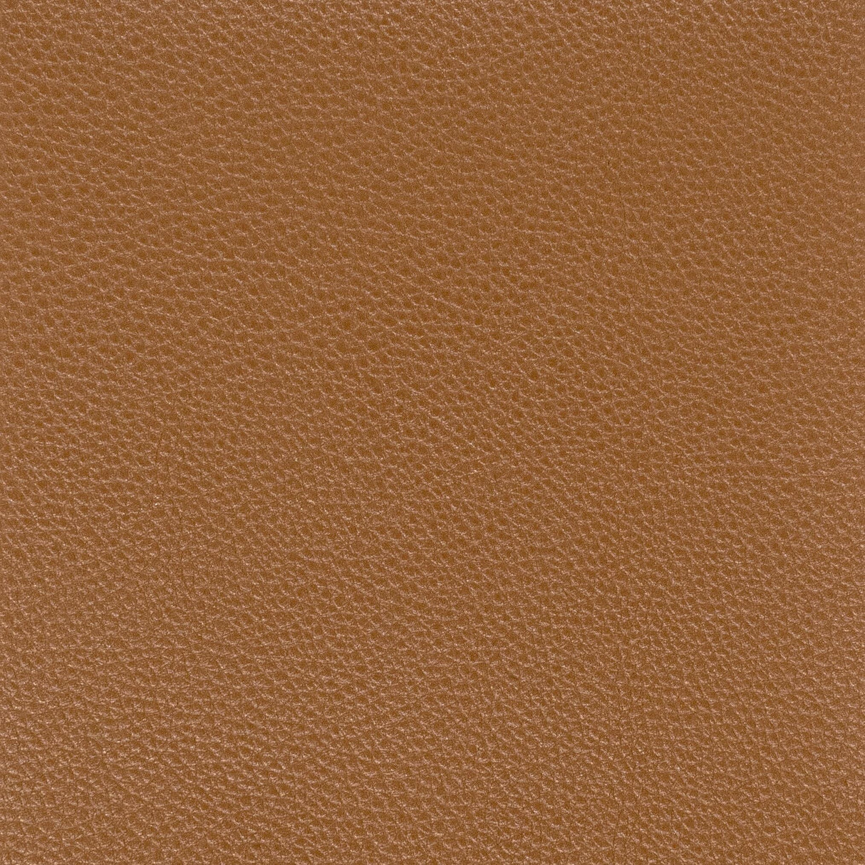 Stout PITCHER SADDLE Fabric