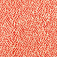 Stout NIAGRA FIRECRACKER Fabric