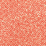 Stout NIAGRA FIRECRACKER Fabric