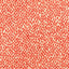 Stout NIAGRA FIRECRACKER Fabric
