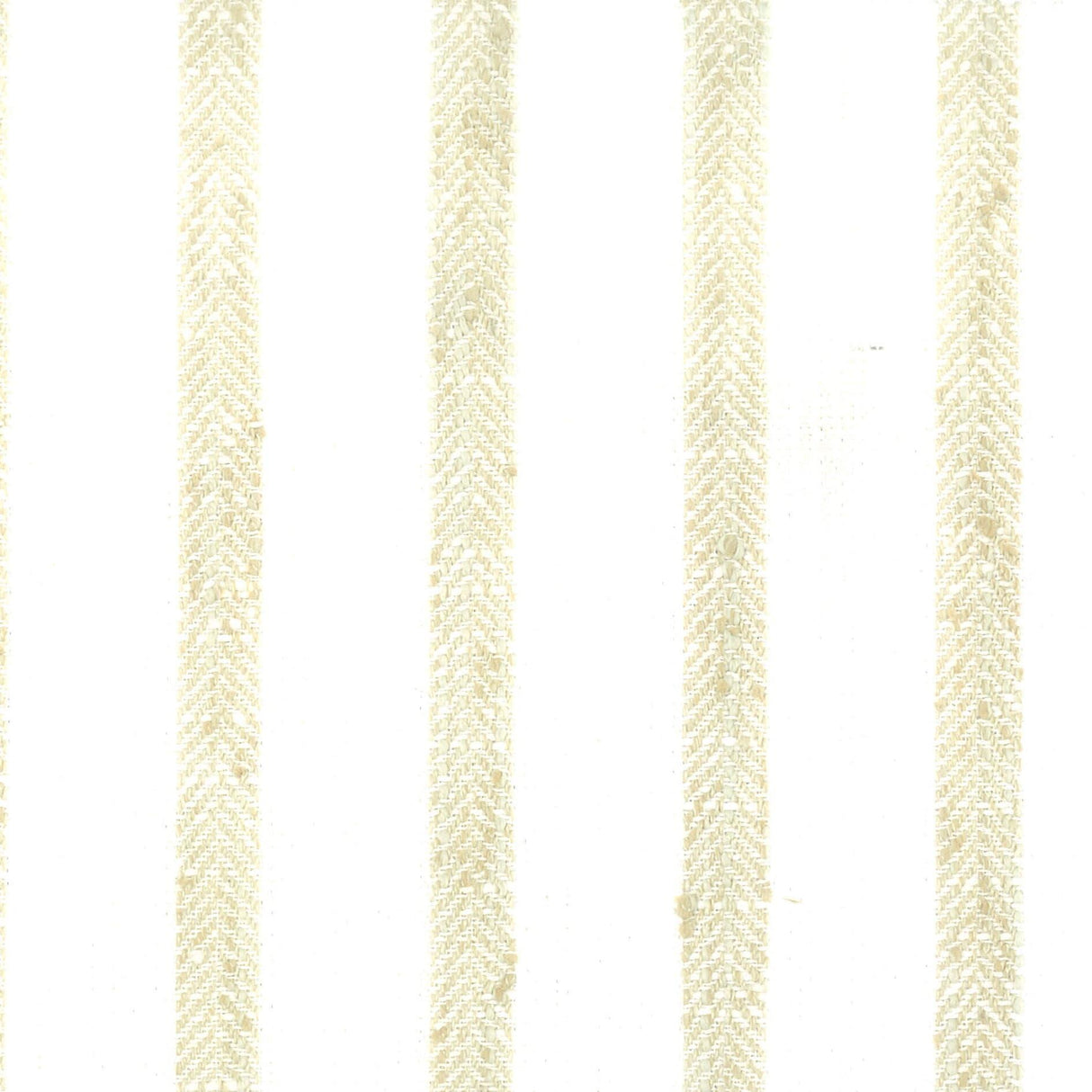 Stout TIMOTHY TOAST Fabric