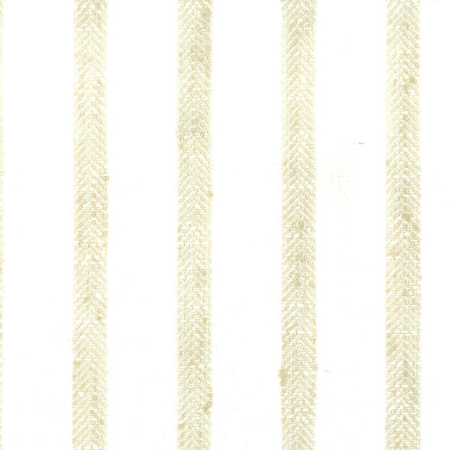 Stout TIMOTHY TOAST Fabric