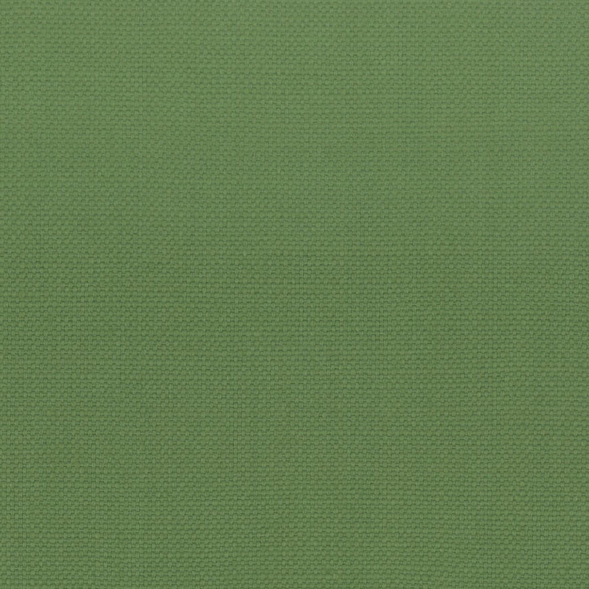 Stout STANFORD GRASS Fabric