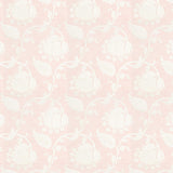 Stout CARYTOWN SORBET Fabric