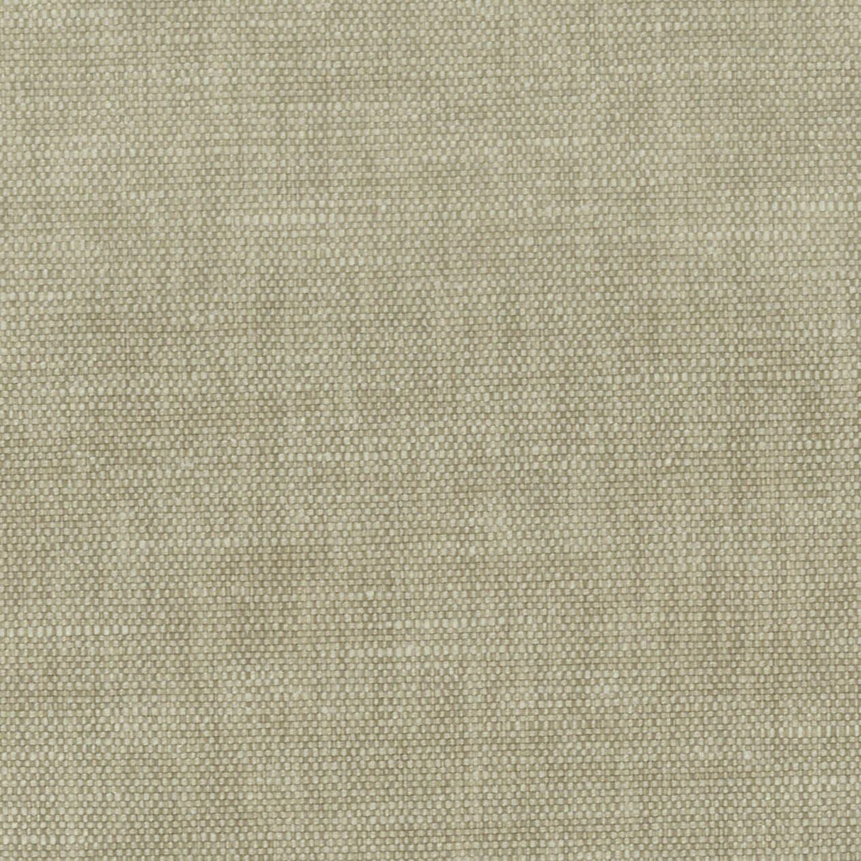 Stout ORWIN DRIFTWOOD Fabric