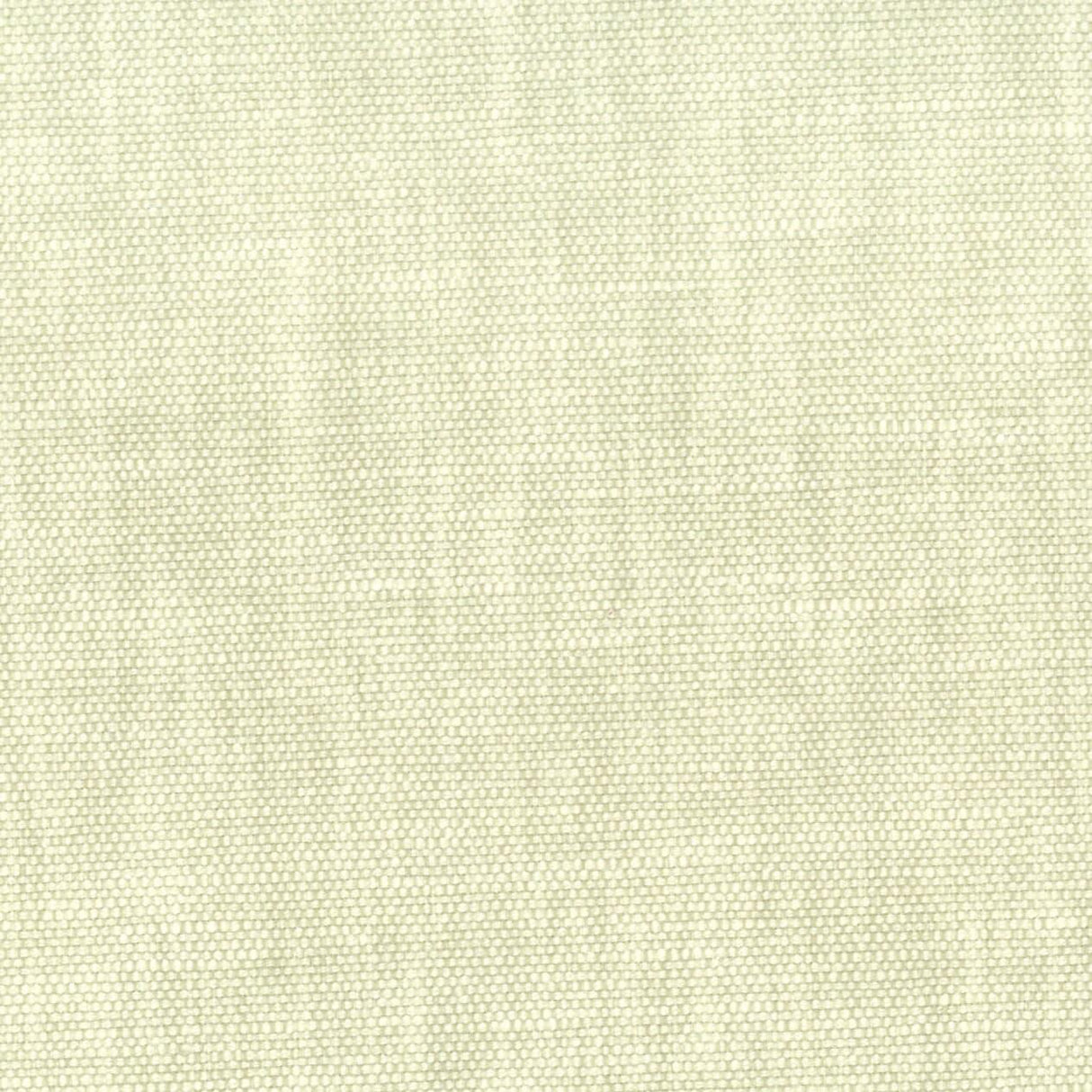 Stout ORWIN DEWKIST Fabric
