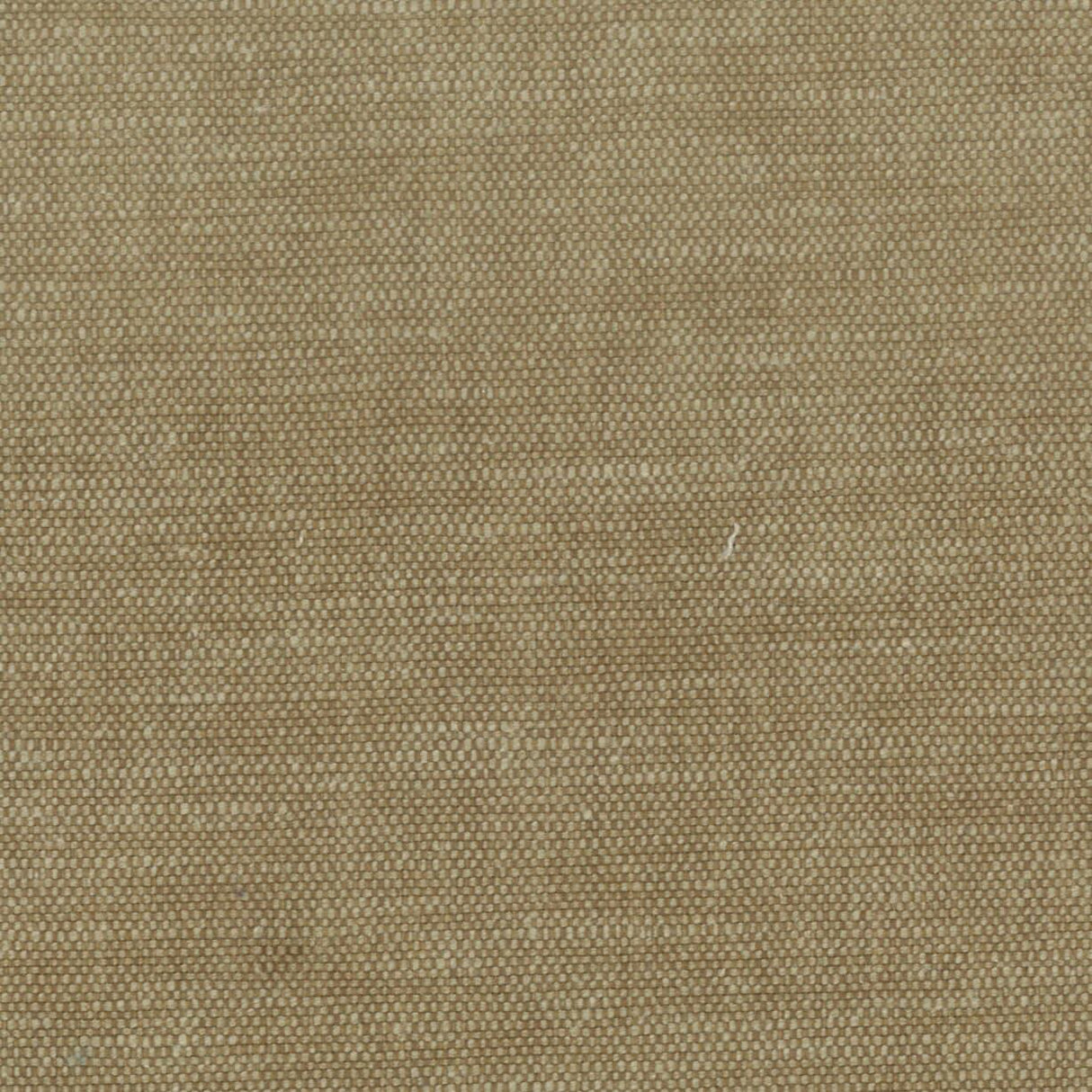 Stout ORWIN CARAMEL Fabric