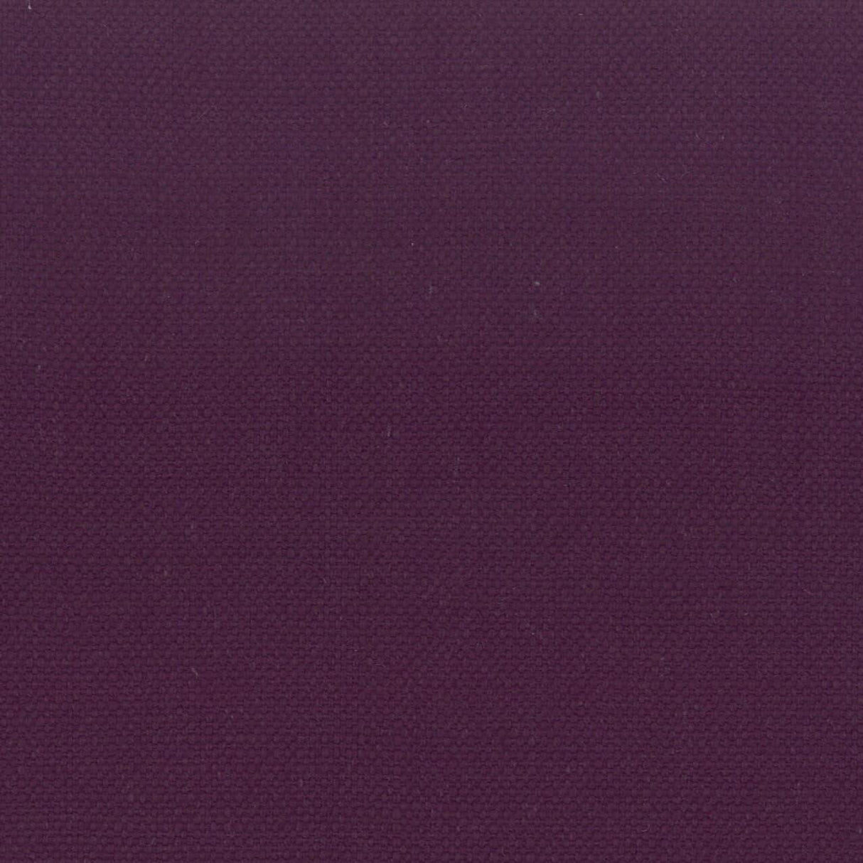 Stout STANFORD AMETHYST Fabric
