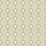 Stout DUNES TAUPE Fabric