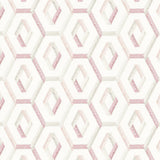 Stout CHUCKLE TEAROSE Fabric