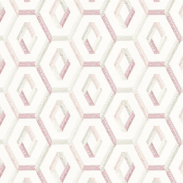 Stout CHUCKLE TEAROSE Fabric