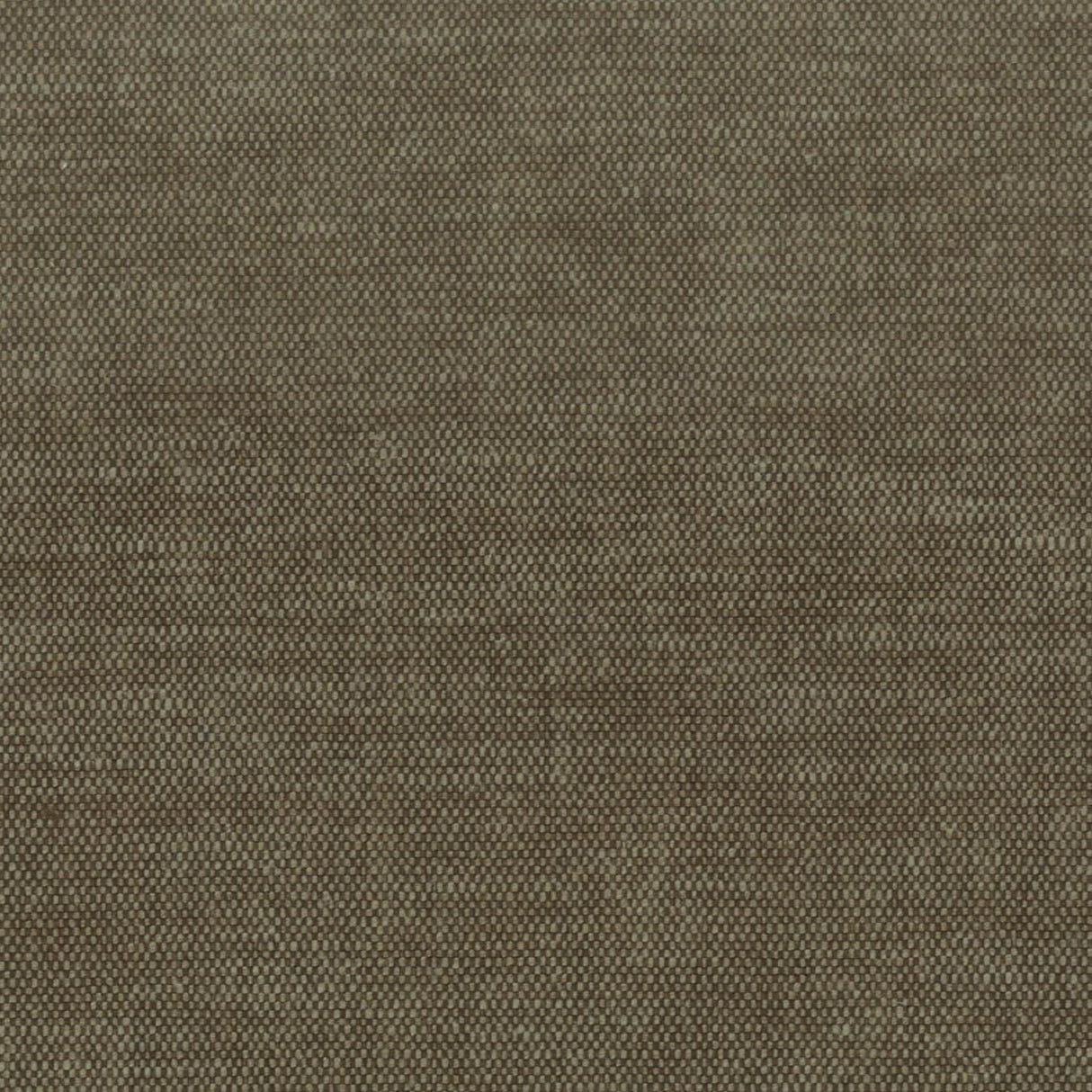 Stout ORWIN BRAN Fabric